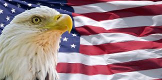 Белоголовый орлан и флаг США