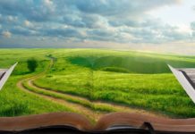 Календарь сказок. Сказка июля (Нил Гейман) дорога из книг